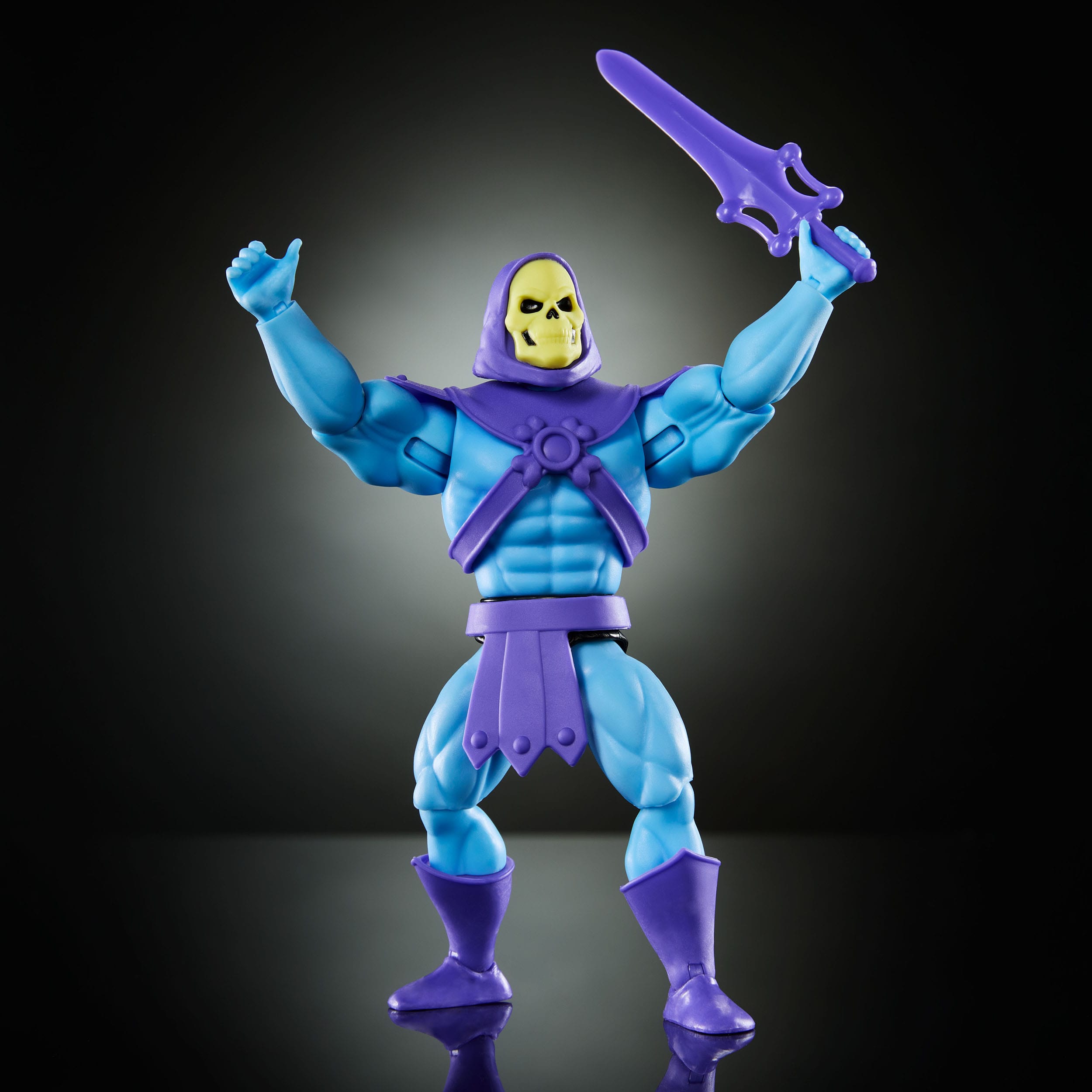Masters of the Universe Origins Cartoon - Skeletor