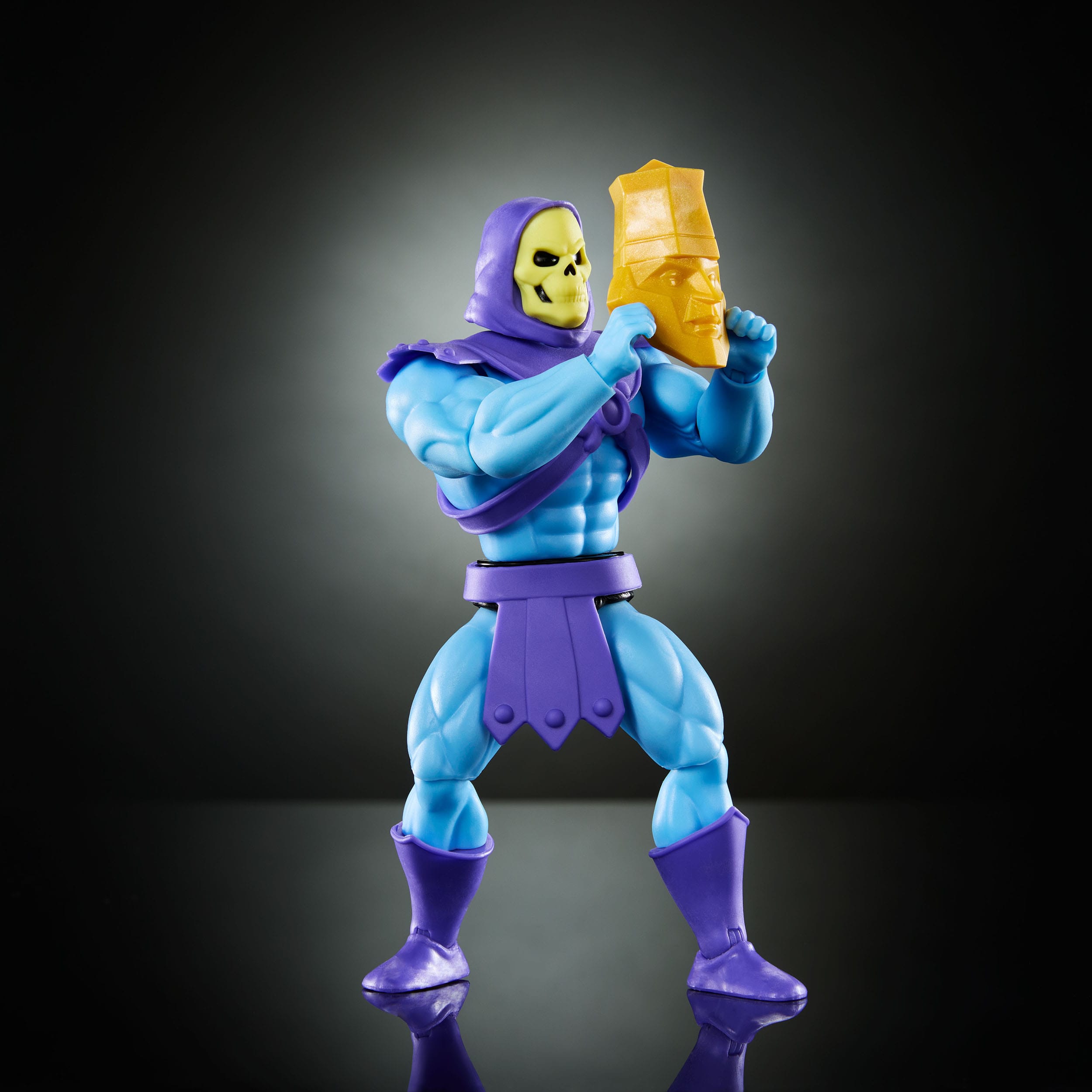Masters of the Universe Origins Cartoon - Skeletor