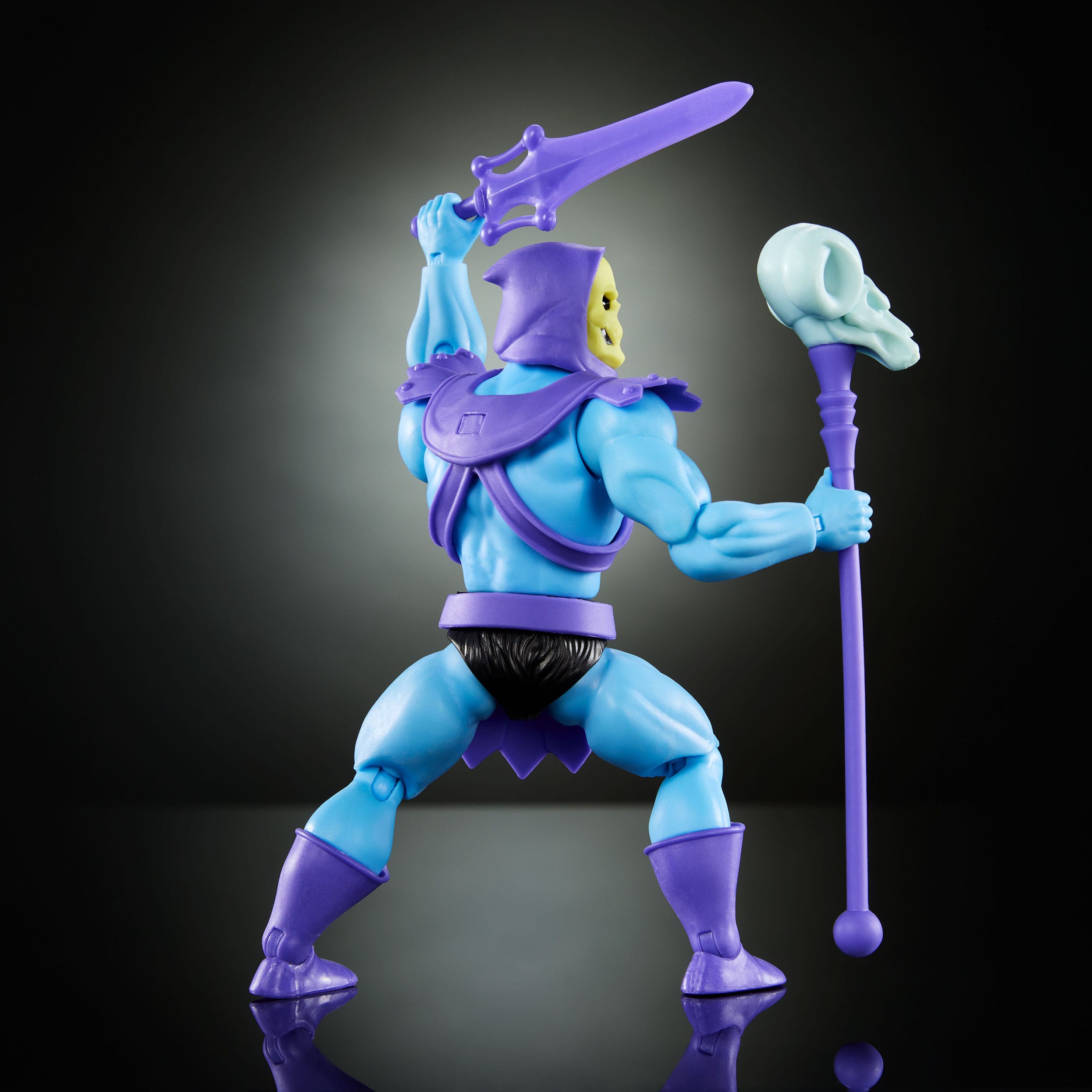 Masters of the Universe Origins Cartoon - Skeletor