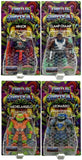 MOTU x TMNT Turtles of Grayskull - Wave 6