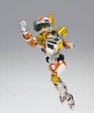 Bandai Saint Seiya Myth Cloth Steel Saint Landcloth Daichi (Revival)