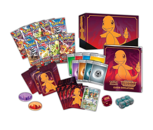 Set Allenatore Fuoriclasse Scarlatto E Violetto Scintille Folgoranti - Foto 2