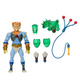 MOTU x ThunderCats - Tygra (US)