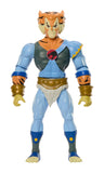 MOTU x ThunderCats - Tygra (US)