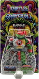 MOTU x TMNT Turtles of Grayskull - Raffaello
