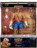 Ultra Street Fighter II: The Final Challengers - Sagat