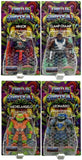 MOTU x TMNT Turtles of Grayskull - Wave 6