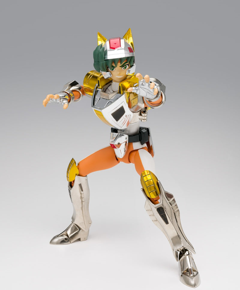 Bandai Saint Seiya Myth Cloth Steel Saint Landcloth Daichi (Revival)