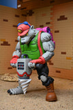 Teenage Mutant Ninja Turtles - Dirtbag & Groundchuck